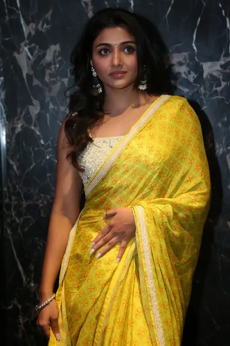 Indian Actress Mirnaa Menon in Yellow Saree at Ugram Movie Teaser Launch